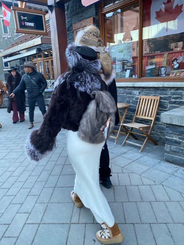 Skijoring in Banff, Canada. Image © PlanetSKI